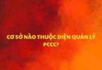 CƠ SỞ CỦA BẠN CÓ THUỘC DIỆN QUẢN LÝ VỀ PHÒNG CHÁY CHỮA CHÁY HAY KHÔNG?
