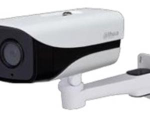 IPC-HFW1230MP-S-I2     (Camera đường phố)